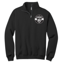 ASH QUARTER ZIP 4